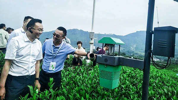 陳渝陽董事長正在向劉天金主任介紹聯(lián)網型風吸式殺蟲燈