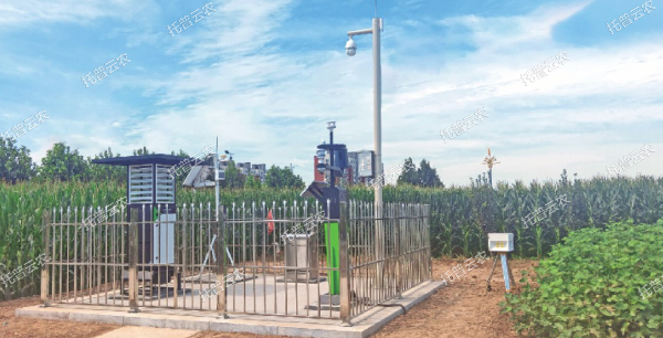 實(shí)時(shí)采集制種基地農(nóng)情、墑情、病情、蟲情數(shù)據(jù)信息